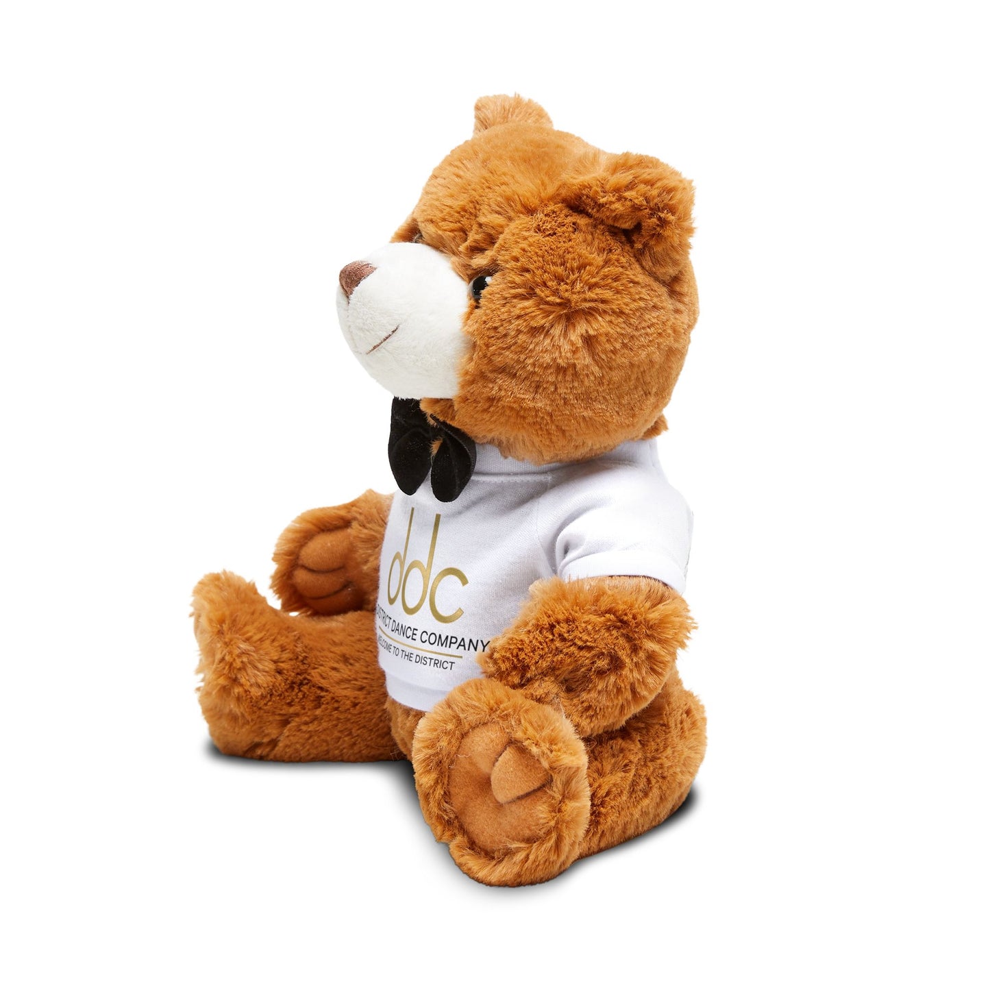 Teddy Bear (Bring me to dance comps!)